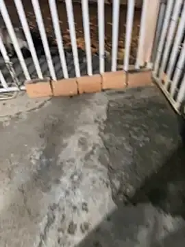 Stripchat Best Webcam of Moom_evil1177