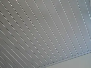 Stripchat Free Porn Cam of Muscle_King_Cum