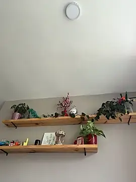 Stripchat Free Porn Cam of SugarTroubl33