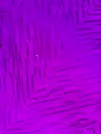 Stripchat Sex Cam of stormytt_