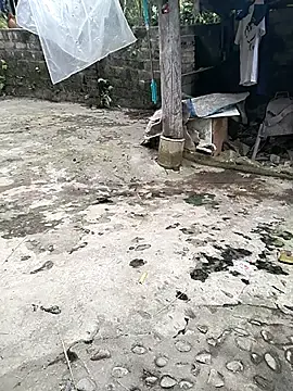 Stripchat Live Porn of gugu0022