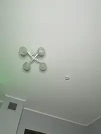 Stripchat Live Porn of LittleFox___