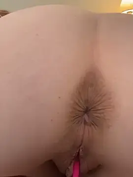 Stripchat Free Porn Cam of Anal_Top
