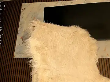 Stripchat Adult Video Chat of sally_009