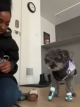 Stripchat Adult Webcams of Your_Paris