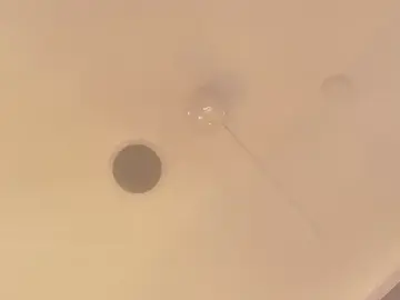 Stripchat Adult Video Chat of GiselleParton