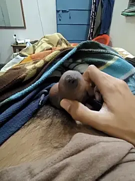 Stripchat Live Sex Cam of Cum_4_cam