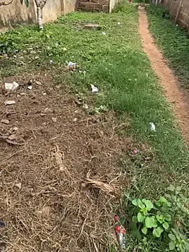 Stripchat Live Sex of Black-mamba-madingo