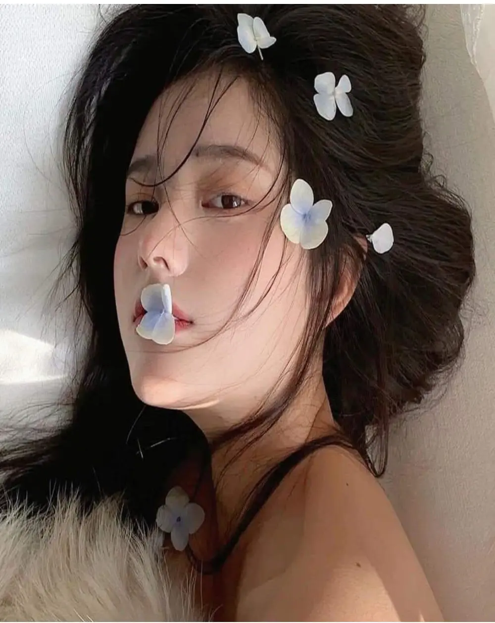 ___Lily___